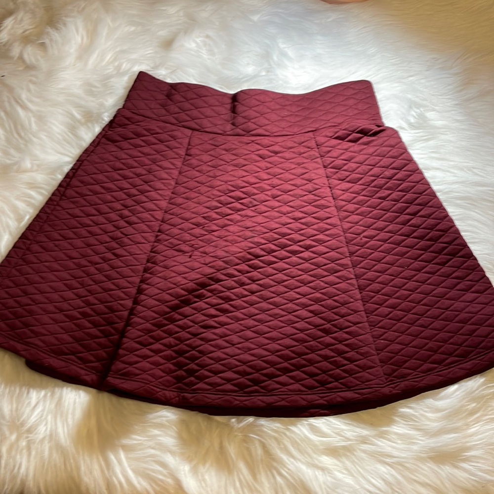 Zumiez skater skirt